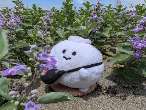 なんのおはな、かな