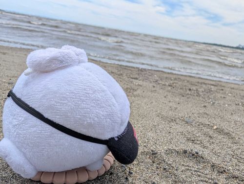 うみ、ひろいね、おおきいね🌊