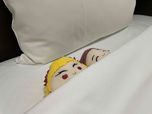今日はふわごくさんとお泊まりです♪
