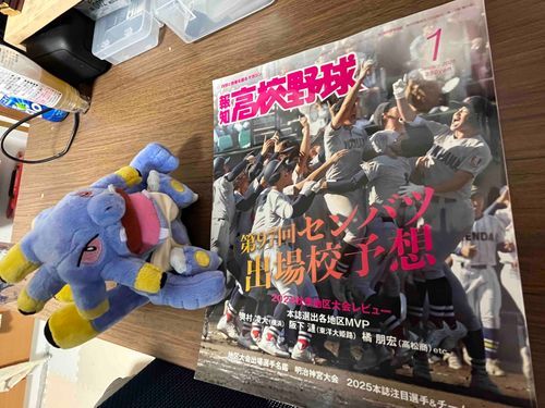 明日からプロ野球はキャンプイン⚾️
球春到来だね🌸