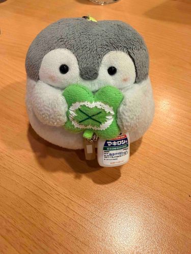 あら〜、ぬしさん、はしったらころんじゃっておけがしちゃったみたい…！💦
ばんそうこうとまきろんをどうぞ〜！