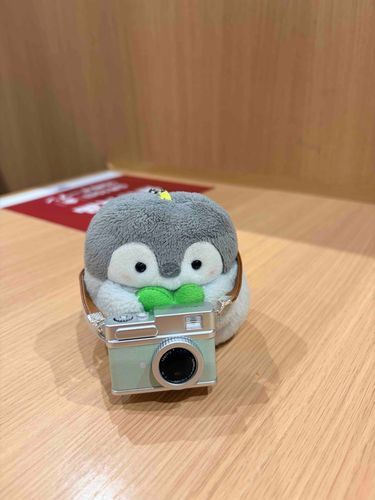 かめら📷でぱしゃぱしゃ！📸📸
いろんなあき🍂をとりにいこ〜！！