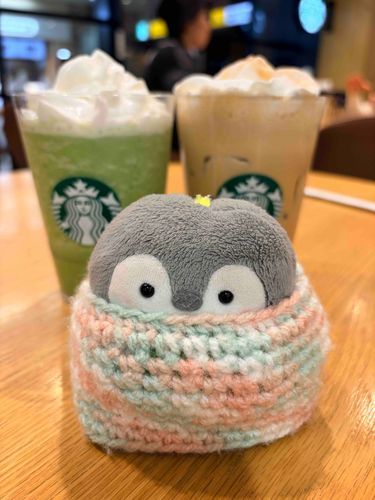ことしもぬしさんのがくさいのおともをしたよ🫶
ごほうびのまっちゃふらぺちーの🍵
おいしかったものだなぁ…！！