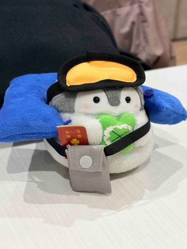 りょこうぐっずをそろえたんだよ〜！
ねっくぴろー🛌にぱすぽーと📕あいますく！👀ばっちりなものだなぁ…！