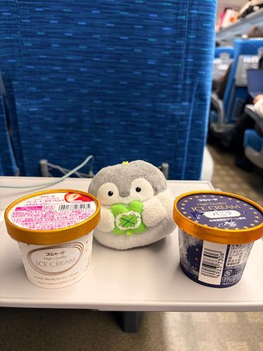 しんかんせんすごいかたいあいす🍨
かちこち🥶でひんやり…！
どこまでいくかも？