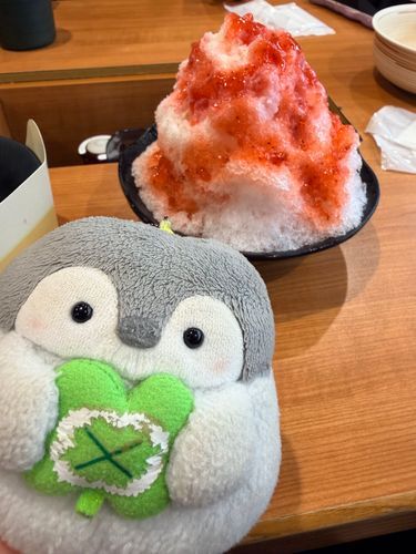かきごおり！ひんやりしててさいこう！🍧
