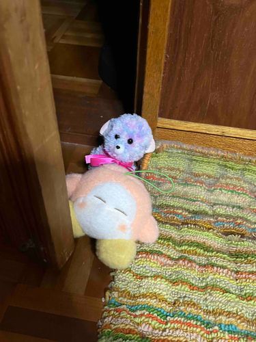 UFOキャッチャーでおうちに来たワドちゃんとコーキちゃんが作ったポンちゃんだよ