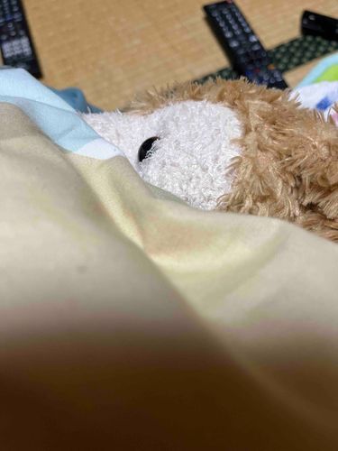 おかあちゃんのおふとんでいっしょにゆーちゅーぶみる