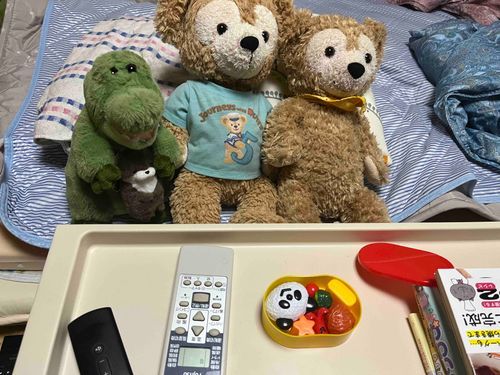 おるすばん、おべんとうと本とリモコン渡してもらった