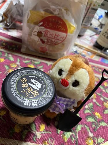 これで恐竜をはっくつするの