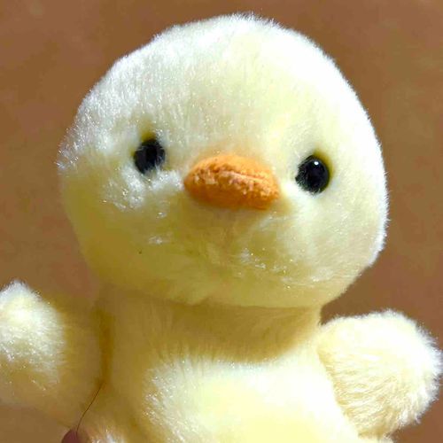 古民家に住んでいるピヨピヨだよ。
ネコのニャンニャンとヒツジのメェメェがおともだち。