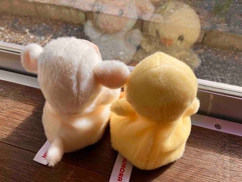 ポカポカだねぇ〜