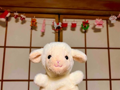 メェメェとクリスマス準備🎄