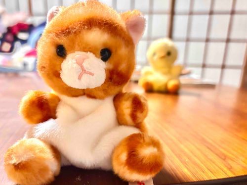 ニャンニャンはちょっと怒ってるお顔だけどいいヤツだよ