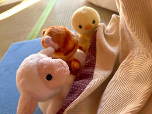 こたつでぬくぬく。
