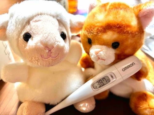おうちのひとがフラフラでたいへんみたいー！！