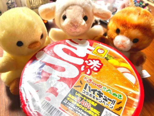 おうちのひとはおかぜなのでうどん！
