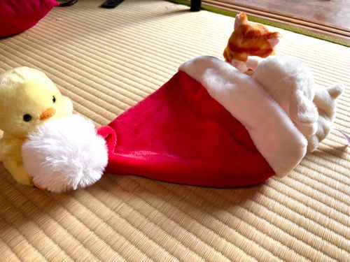 なんだこれ