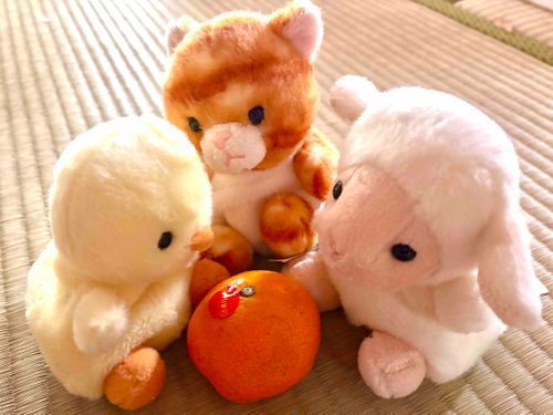 おうちのひと、げんきになったとおもったら またおねつ。みんなもきをつけて。ピヨたちはみかんをとどける。