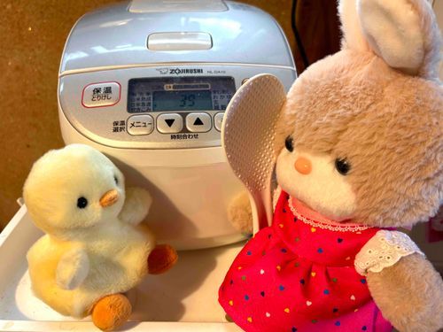 おうちのひとはまだお熱。
ピヨはキャンディ姉さんにごはんの炊き方を教えてもらうことにした。