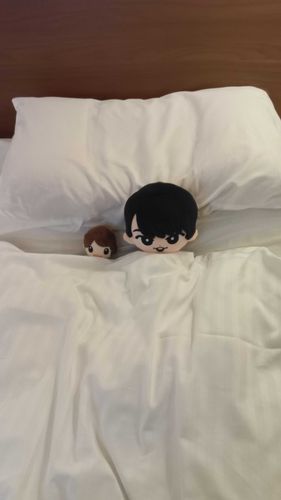 だてさまとかいぬしのベットうばったんだ😼かいぬしはこのひ、ぼくのらいぶにきてごうきゅうしたんだって〜