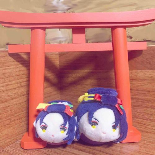 おうちにあるアタシたちのとりいだよ！