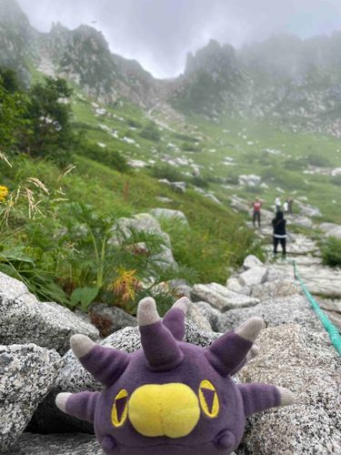 標高2612mの地点。ウニちゃんは海派だろうけど山もいいね。