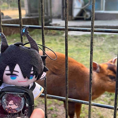 Awwwww, such a cutie♡
touching grassして、可愛い動物(キョン)に会って嬉しそうなれんぱぺ。よかったね。