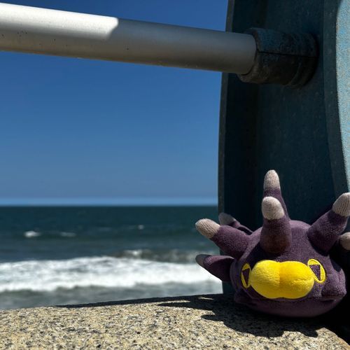 海だよ、ウニちゃん