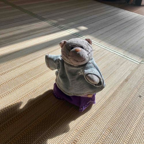 おひさまぽかぽか  いいてんきにゃー