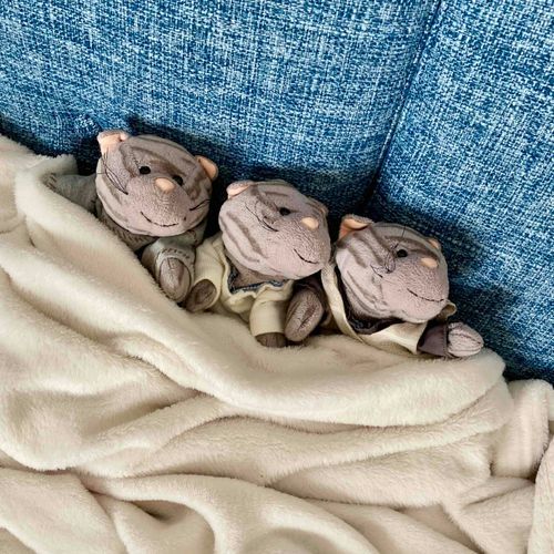 みんななかよしなのにゃ