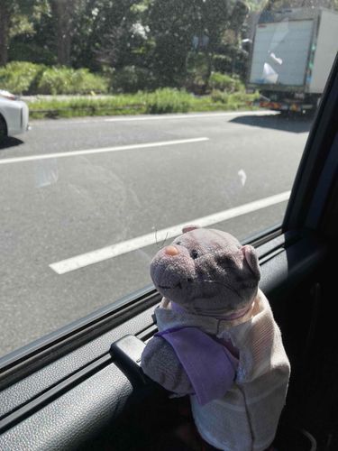 おひさまぽかぽかの時にバーベキューに行ったにゃあ