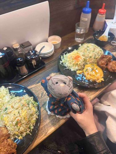 よよのおともだちと、中華を食べたのにゃあ！！たくさんあっておなかいっぱいって言ってるにゃ