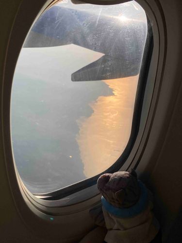 北海道へ行くにゃあ！