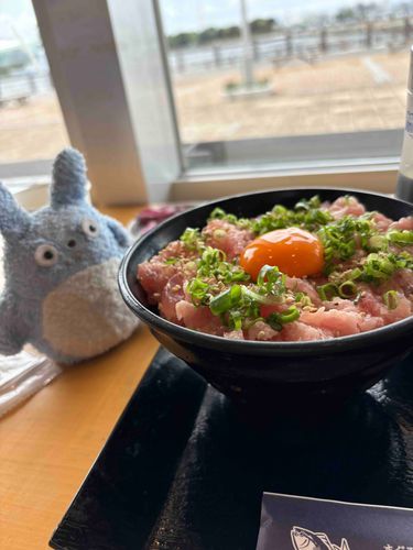 海の幸を、たのしんだりもします