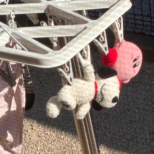 乾かし中のふたり
ちな、3週間前
