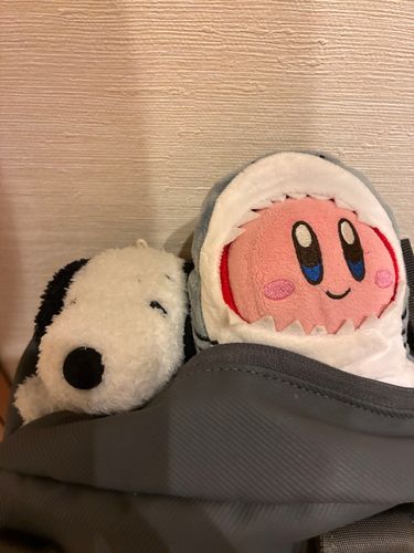 リュックから顔出してたすぬーをみつけて、すかさず真似っ子するぼろ