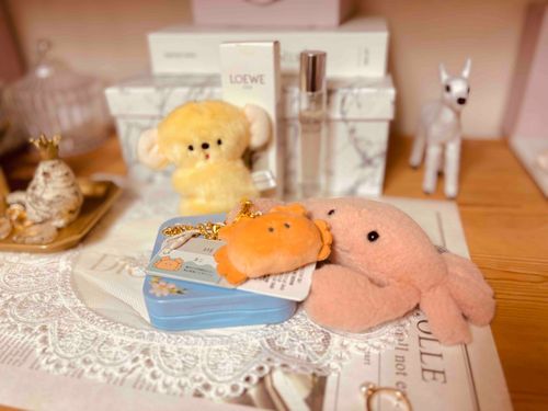 ちいさいきゃにちゃん、おむかえシター🦀たこさんも、うみうしちゃんも きゃわヨかった…。でもやっぱりきゃにちゃんが いいヨってなっちゃう！おなまえ、なにスル？