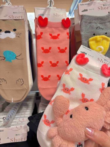 ちゅちゅあんなに きゃにのくつちた あるて きいて きゃいぬしと かけつけたヨネ🦀🧦
きゃいぬしは きゃにのいろに ちかい かにさんが ぴんくのやつに してた！ふわふわのかにつめ、おそろいにナル〜💕
