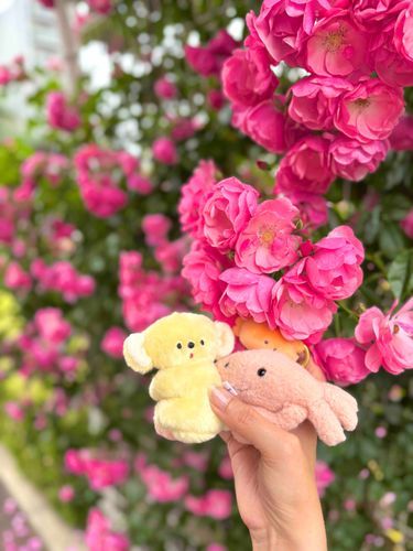 ばらえん🌹🌹🦀🐨🦀🌹🌹