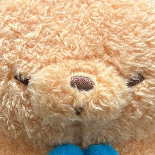 気まぐれ散歩🐾