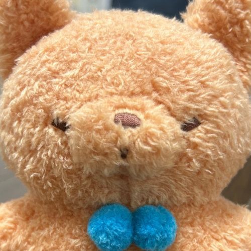 🐾7月2日

はじめたて記念📸