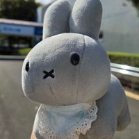 ぽこちゃん