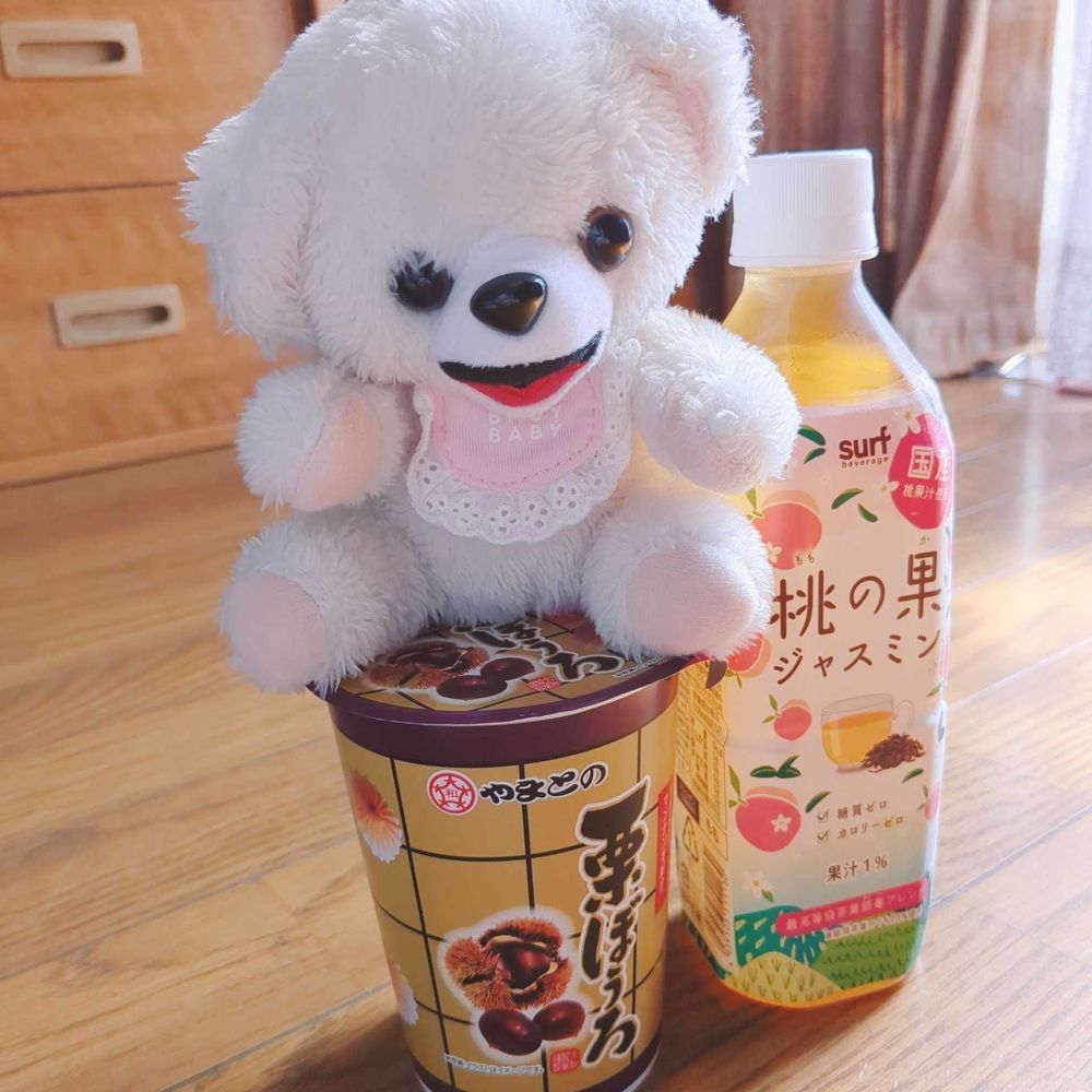 生まれてまもないころの、　ふわふわの　ぼくだよ🐻‍❄️
かいぬちが　プレミアムのお金　だしてくれるっていうから、
記念の投稿✌️
わーいわーい🎶✨