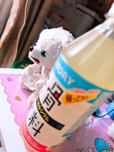 そ〜れ　そ〜れ
鉄骨飲料💪