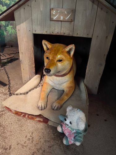 福井県立博物館へ行って、　ジョンさんにあってきたよ🐕️
りりしいんだ〜✨️
昭和のコーナー　おもしろいから
写真上げたいけど、
Androidには　まだ　課金が　存在しないんだ〜😫