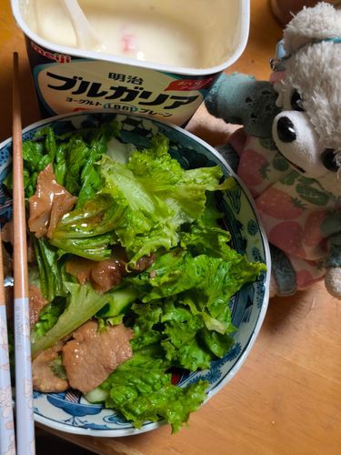 きょうの晩ごはんは
はちみつとフルーツ入りのおからヨーグルトと　豚肉サラダの　ごうかばん🌠🌠🌠