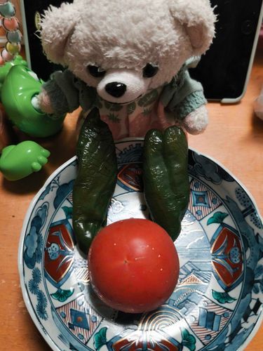 きょうのの　晩ごはんは
おからヨーグルトと　ピーマンと　トマトまるごと
ヤダー😫！！！