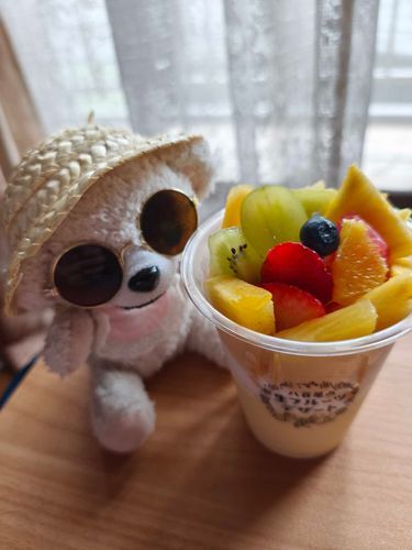 フルーツプリンだよ🍮
ぼくも　一緒にたべたんだ😀
もうちょっと　たまごな　プリンがすきかも🤫