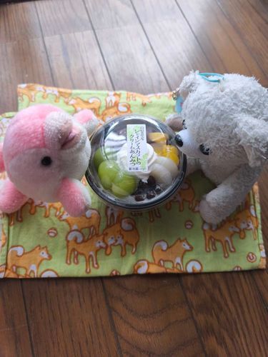今日のおやつは　シャトレーゼの　シャインマスカットのクリームあんみつ🍇♪
ぼく、　あんみつは　ぐちゃっと　混ぜちゃう派🐻‍❄️💞
こつぶちゃんは　きれいに　ならべたいんだって🐬

